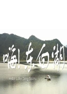 嗨 东白湖 - 剧情片 (2015) 海报
