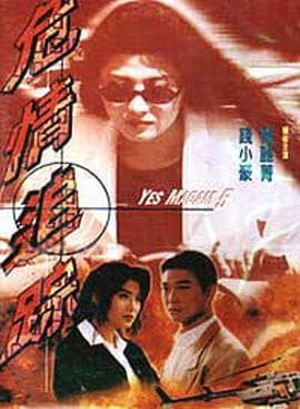 危情追踪 - 剧情片 (1996) 海报