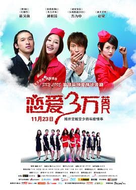 恋爱三万英尺 - 喜剧片 (2012) 海报