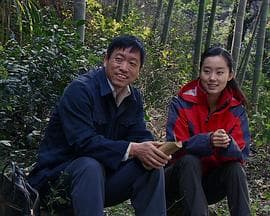 大饼的莎士比亚 - 剧情片 (0) 海报