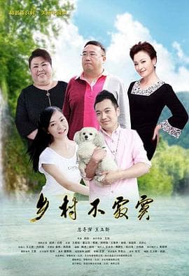 乡村不寂寞 - 剧情片 (2015) 海报