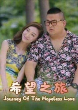 希望之旅2017 - 剧情片 (2017) 海报