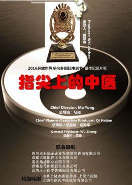 指尖上的中医 - 剧情片 (2014) 海报