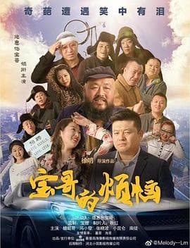 宝哥的烦恼 - 剧情片 (2019) 海报