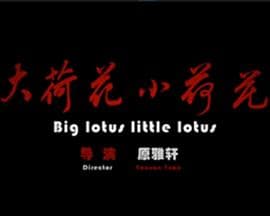大荷花小荷花 - 剧情片 (2015) 海报