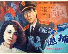 暂缓逮捕 - 剧情片 (1988) 海报