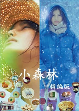 小森林精编版 - 剧情片 (2015) 海报