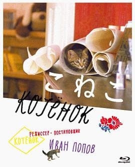 小猫虎子 - 剧情片 (1997) 海报