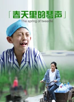 春天里的琴声 - 剧情片 (2014) 海报