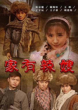 家有辣嫂 - 剧情片 (2011) 海报