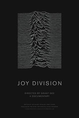 欢乐分裂 - 剧情片 (2007) 海报