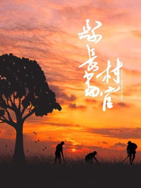 县长当村官 - 剧情片 (2016) 海报