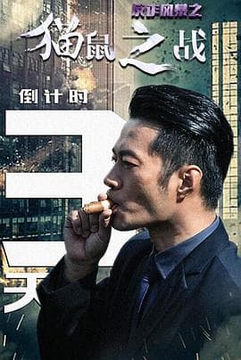 反诈风暴之猫鼠之战 - 剧情片 (2018) 海报