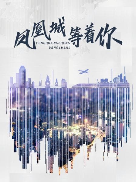 凤凰城等着你 - 剧情片 (2017) 海报