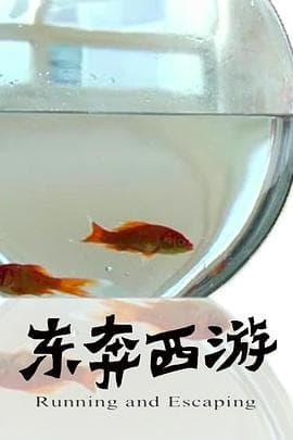 11度青春之《东奔西游》 - 剧情片 (2010) 海报