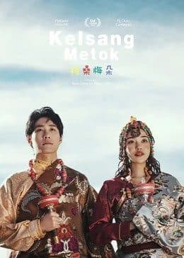 格桑梅朵 - 剧情片 (2011) 海报