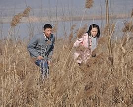 天鹅城之恋 - 剧情片 (2011) 海报