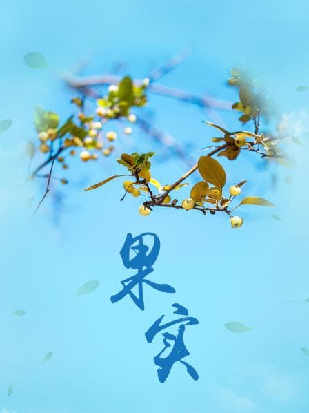 果实 - 剧情片 (2004) 海报