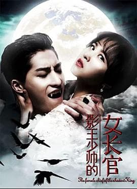 影王少帅的女长官 - 剧情片 (0) 海报