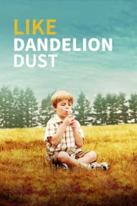 像蒲公英的灰尘 - 剧情片 (2010) 海报