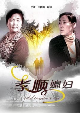 孝顺媳妇 - 剧情片 (2009) 海报