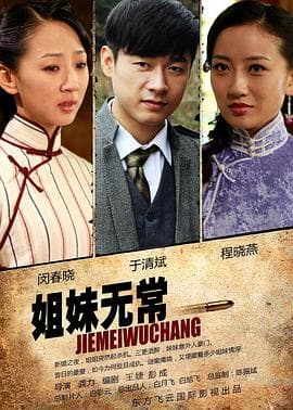 姐妹无常 - 剧情片 (2012) 海报