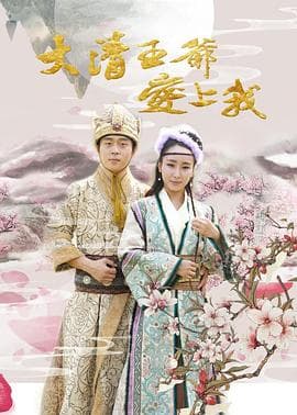 大清王爷爱上我 - 剧情片 (2017) 海报