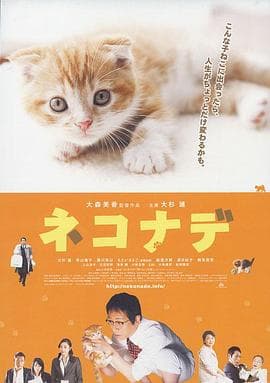 小猫奇缘 - 剧情片 (2008) 海报