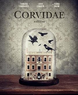 亲属关系 - 剧情片 (2020) 海报