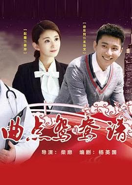 曲点鸳鸯谱 - 剧情片 (2017) 海报