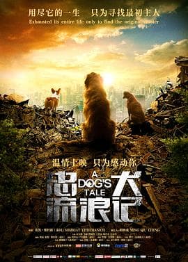 忠犬流浪记 - 剧情片 (2021) 海报