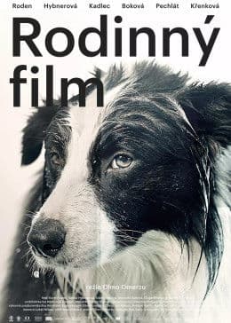 库宾一家人 - 剧情片 (2015) 海报