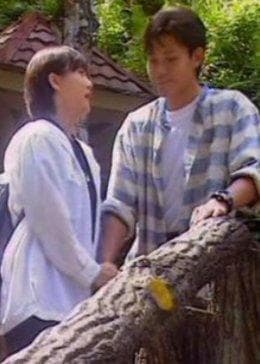 最后一个乘客 - 剧情片 (1997) 海报