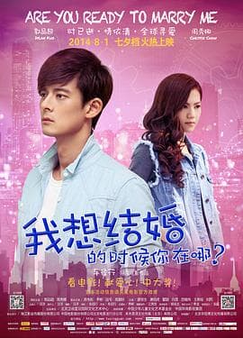 我想结婚的时候你在哪 - 喜剧片 (2014) 海报