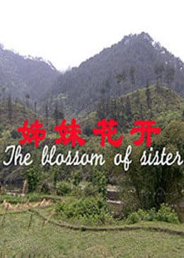 姊妹花开 - 剧情片 (2010) 海报