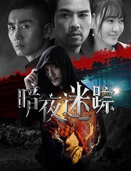 暗夜迷踪 - 剧情片 (2020) 海报