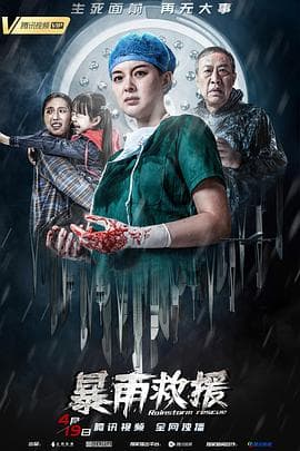 暴雨救援 - 剧情片 (2019) 海报