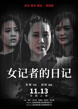 女记者的日记 - 剧情片 (2020) 海报