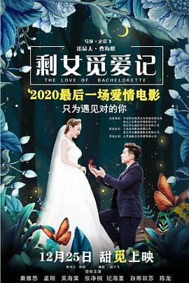 剩女觅爱记 - 剧情片 (2018) 海报