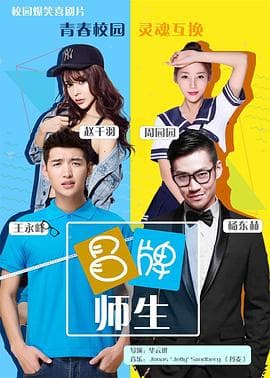 冒牌师生 - 剧情片 (2016) 海报