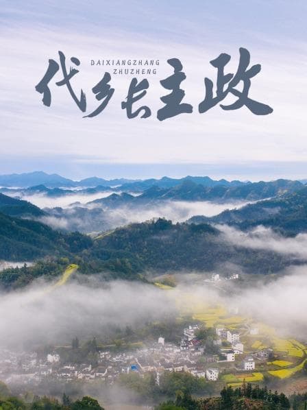 代乡长主政 - 喜剧片 (2011) 海报
