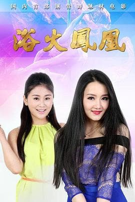 浴火凤凰2015 - 剧情片 (2015) 海报