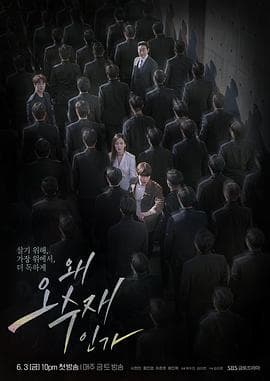 为何是吴秀在 - 韩剧 (2022) 海报