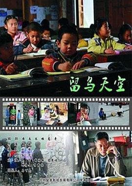 留鸟天空 - 剧情片 (2010) 海报