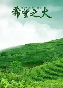 西游超级粉 - 剧情片 (2015) 海报