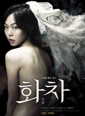 火车 2012 - 剧情片 (2014) 海报