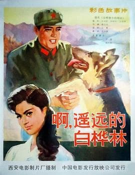 白桦林中的哨所 - 剧情片 (1982) 海报