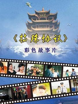 特殊协议 - 剧情片 (2008) 海报