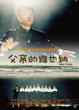 父亲的维也纳 - 剧情片 (2010) 海报