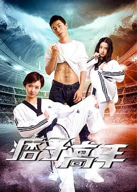 痞子高手 - 剧情片 (2017) 海报